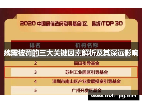 魏震被罚的三大关键因素解析及其深远影响