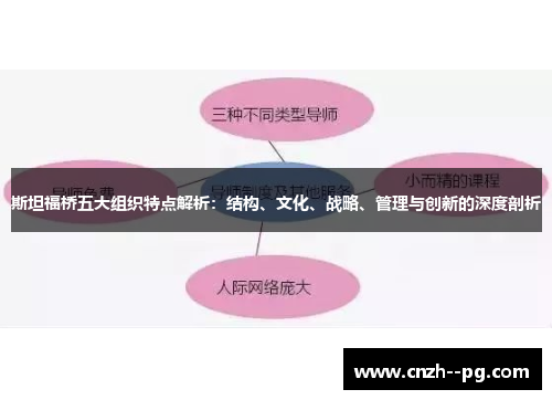 斯坦福桥五大组织特点解析：结构、文化、战略、管理与创新的深度剖析